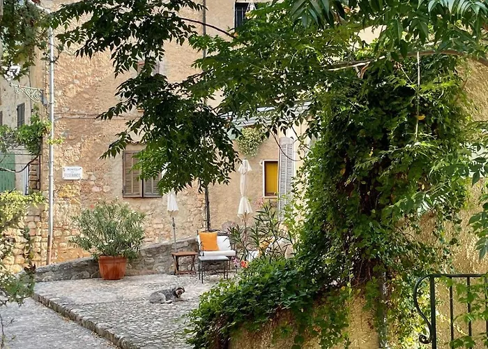La Vicomtesse De Seillans